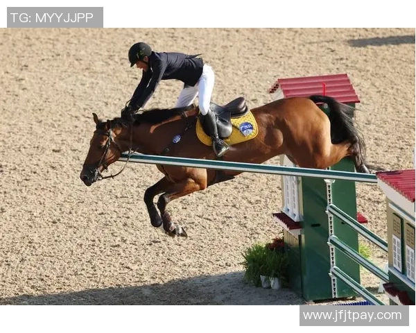 全运会丨马术——场所妨碍个人赛决赛赛况(3)